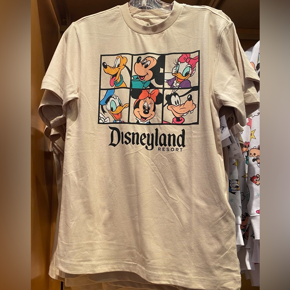 Disney Parks Mickey & Friends Tshirt for Adults